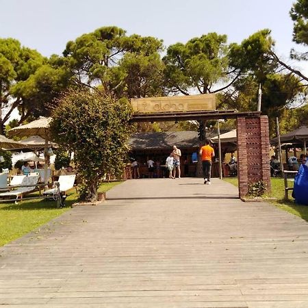 Villa Viktoria Halkidiki Nea Silata Extérieur photo