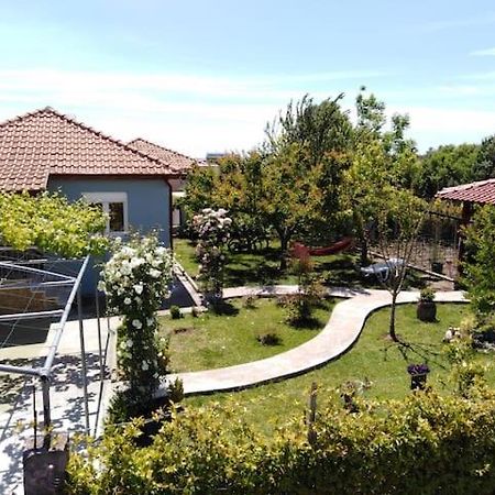 Villa Viktoria Halkidiki Nea Silata Extérieur photo