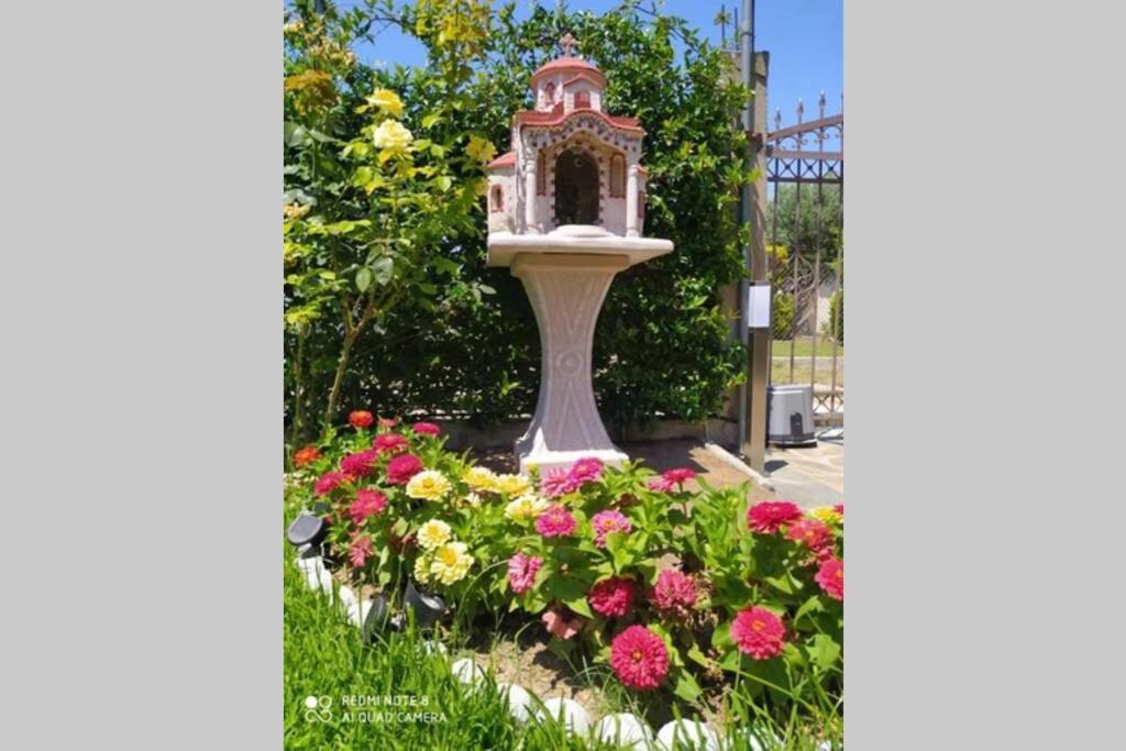 Villa Viktoria Halkidiki Nea Silata Extérieur photo