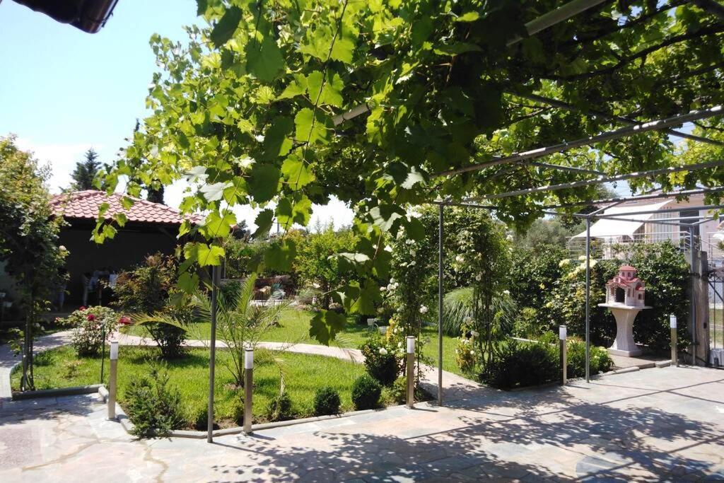 Villa Viktoria Halkidiki Nea Silata Extérieur photo