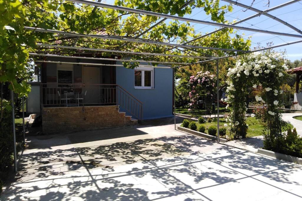 Villa Viktoria Halkidiki Nea Silata Extérieur photo
