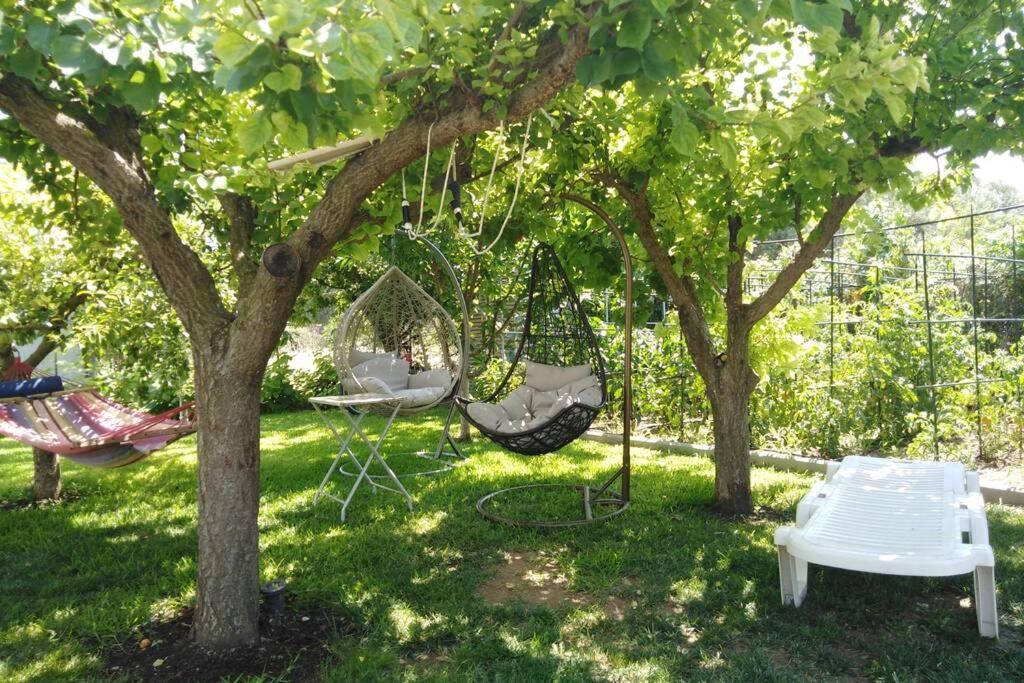 Villa Viktoria Halkidiki Nea Silata Extérieur photo
