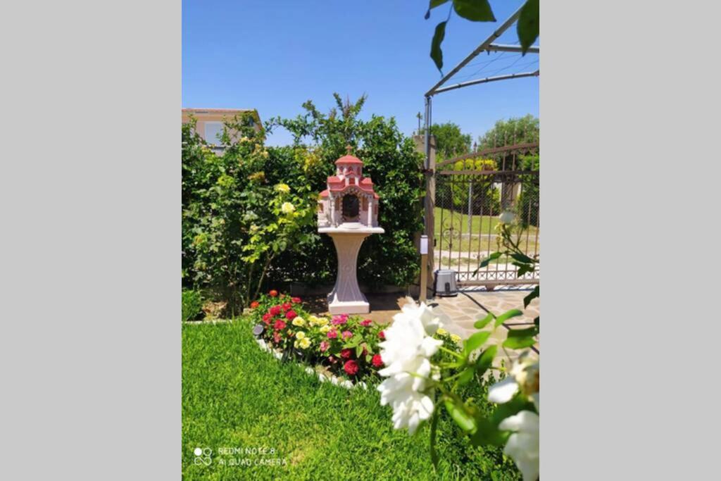 Villa Viktoria Halkidiki Nea Silata Extérieur photo