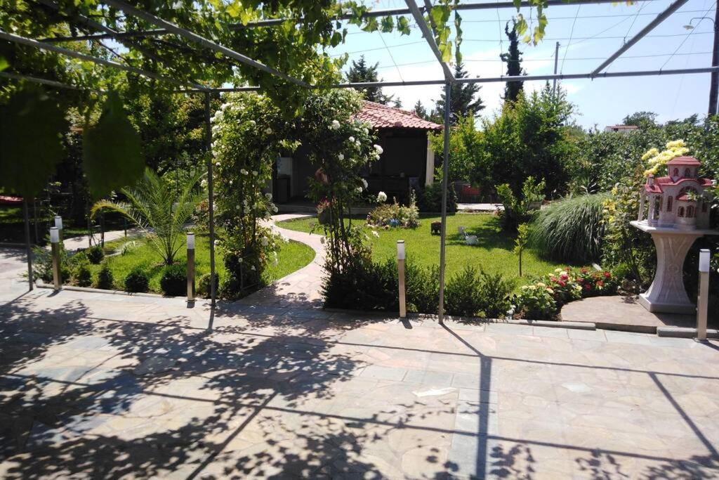 Villa Viktoria Halkidiki Nea Silata Extérieur photo