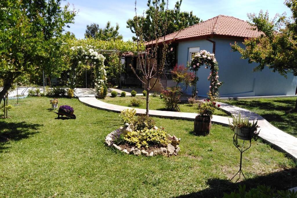Villa Viktoria Halkidiki Nea Silata Extérieur photo