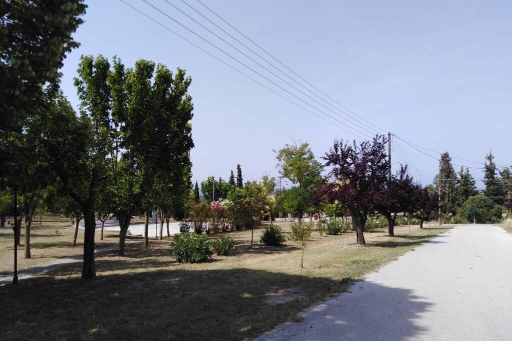 Villa Viktoria Halkidiki Nea Silata Extérieur photo