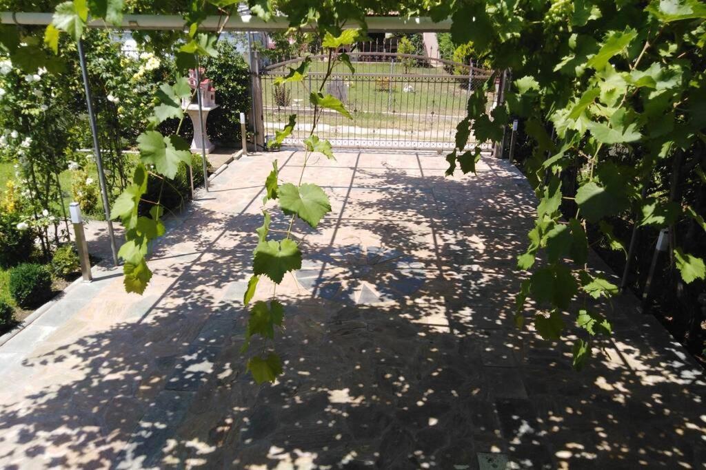 Villa Viktoria Halkidiki Nea Silata Extérieur photo